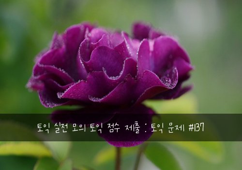 토익 실전 모의 토익 점수 제출 : 토익 문제 #137