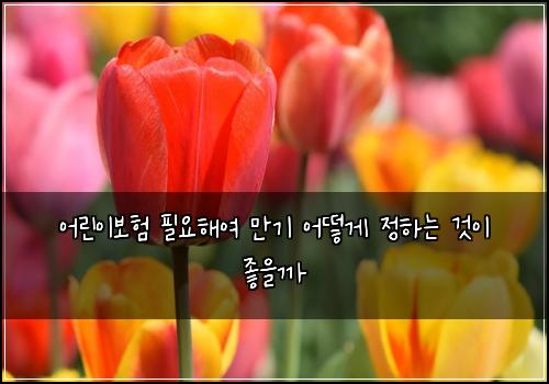 어린이보험 필요해여  만기 어떻게 정하는 것이 좋을까