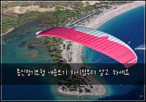 종신정기보험 내용보기  차이점부터 알고 하세요