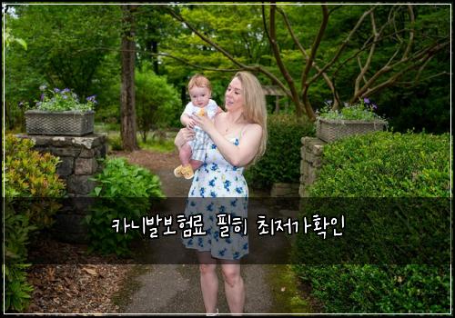 카니발보험료 필히 최저가확인
