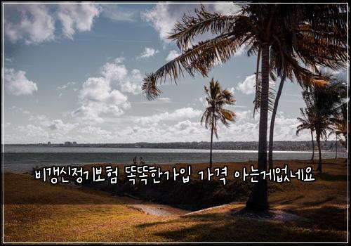 비갱신정기보험 똑똑한가입  가격 아는게없네요