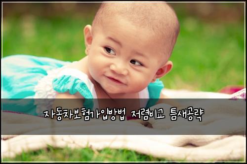 자동차보험가입방법 저렴비교 틈새공략
