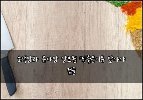 소액암과 유사암 암보험 딱좋은이유  알아야 점들