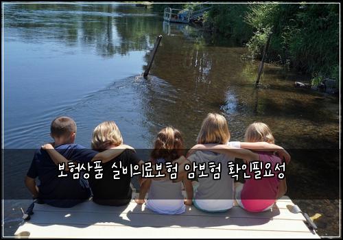 보험상품 실비의료보험 암보험 확인필요성
