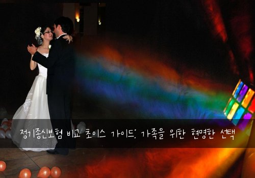 정기종신보험 비교 초이스 가이드: 가족을 위한 현명한 선택