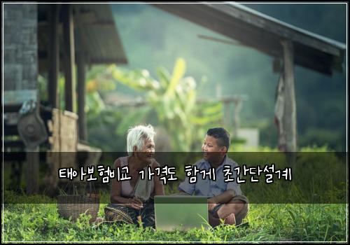 태아보험비교 가격도 함게 초간단설계