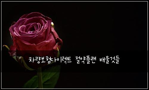 차량보험다이렉트 절약플랜 배울것들