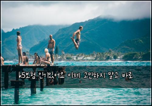 k5보험 인기있어요  이제 고민하지 말고 바로