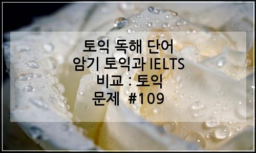 오늘의 이미지