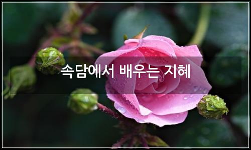 오늘의 이미지
