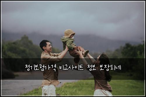 정기보험가격 비교사이트 정보 보장되네