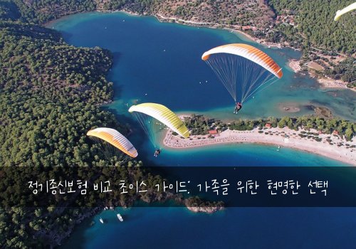 정기종신보험 비교 초이스 가이드: 가족을 위한 현명한 선택