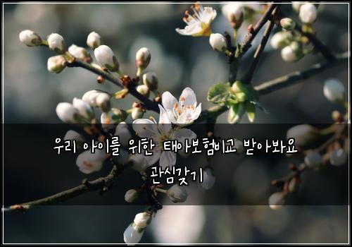 우리 아이를 위한 태아보험비교 받아봐요 관심갖기