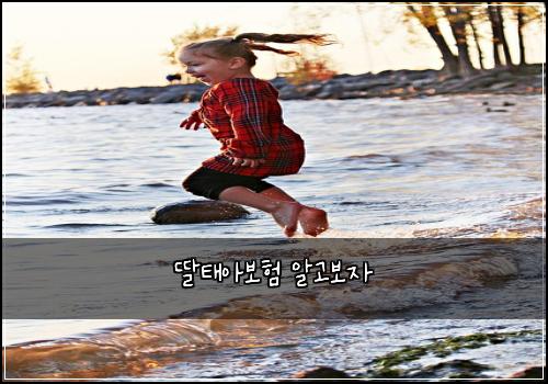λΈνμ보ν μκ³ λ³΄μ