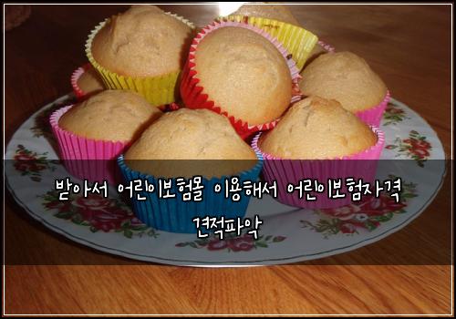 받아서 어린이보험몰 이용해서 어린이보험자격 견적파악