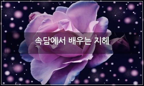 오늘의 이미지