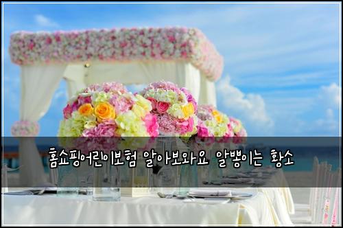 홈쇼핑어린이보험 알아보와요  알뽕이는 황소