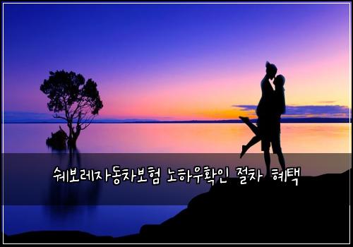쉐보레자동차보험 노하우확인  절차 혜택