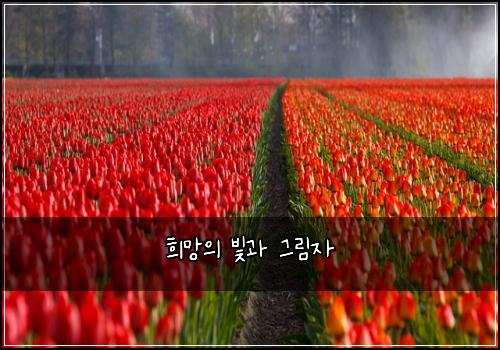 희망의 빛과 그림자