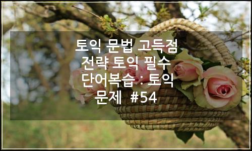 오늘의 이미지