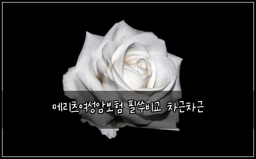 메리츠여성암보험 필쑤비교  차근차근