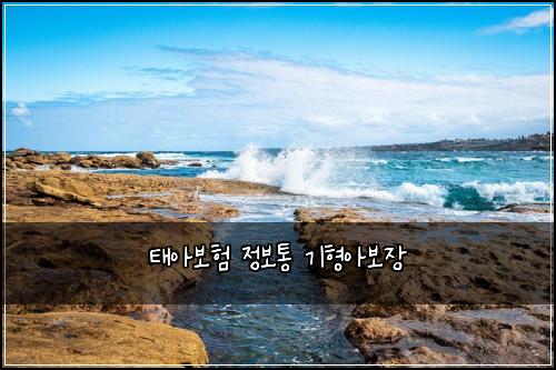 태아보험 정보통  기형아보장