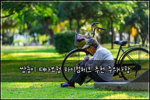쌍둥이 태아보험 차이점체크  추천 주의사항