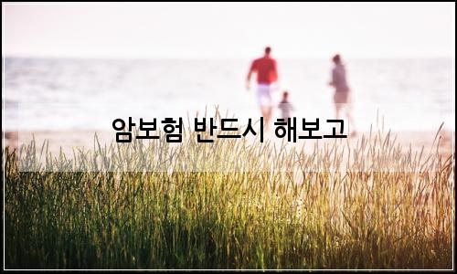 오늘의 이미지