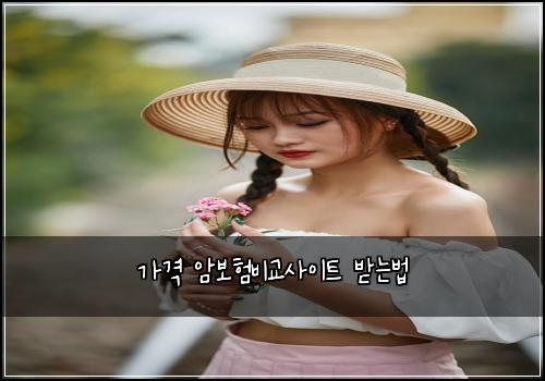 가격 암보험비교사이트 받는법