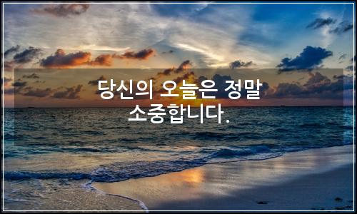 오늘의 이미지
