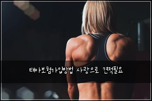 태아보험가입방법 사랑으로 견적필요