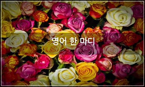 오늘의 이미지