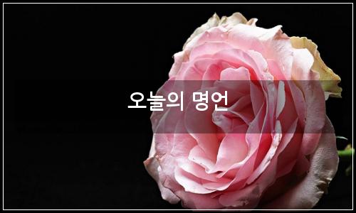 오늘의 이미지