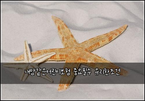 내맘같은어린이보험 중요필수  유리한조건
