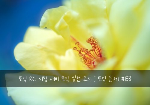 토익 RC 시험 대비 토익 실전 모의 : 토익 문제 #158