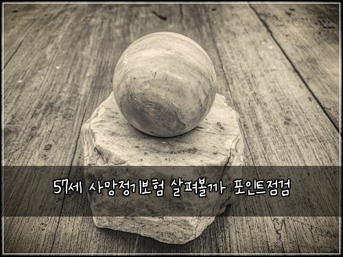 57세 사망정기보험 살펴볼까  포인트점검