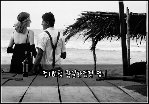 정기보험 확실한점검  정기