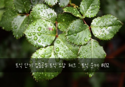 토익 단기 집중공부 토익 오답 체크 : 토익 문제 #132