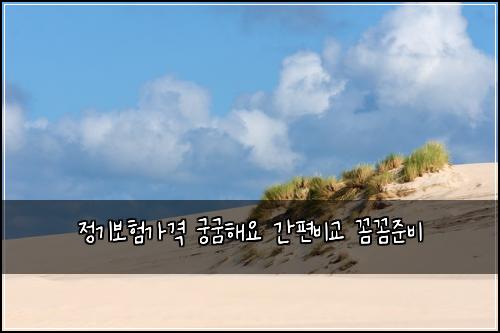 정기보험가격 궁굼해요 간편비교 꼼꼼준비