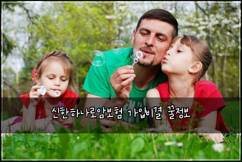 신한하나로암보험 가입비결  꿀정보