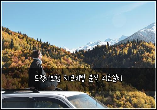 트정기보험 체크비법  분석 의료실비