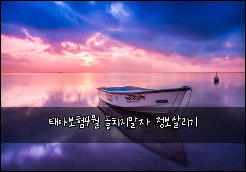 νμ보ν4μ λμΉμ§λ§μ μ 보μ΄λ¦¬κΈ°