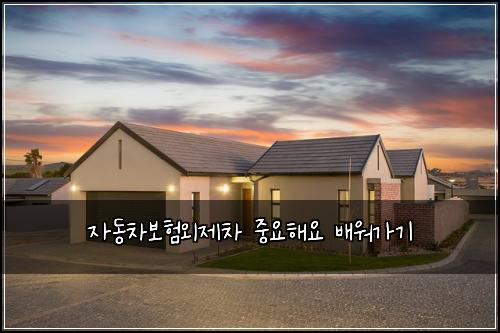 자동차보험외제차 중요해요 배워가기