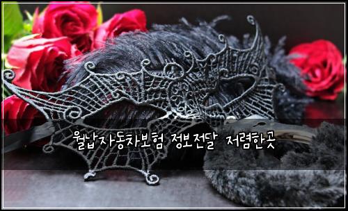 월납자동차보험 정보전달  저렴한곳