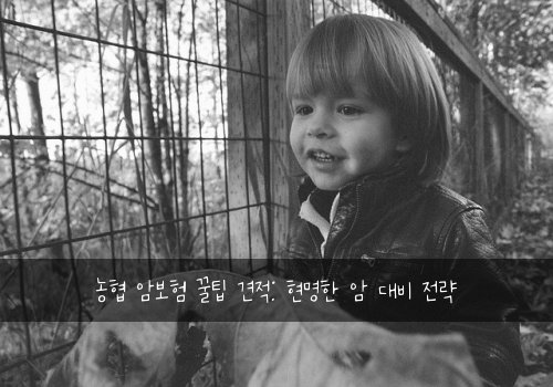 농협 암보험 꿀팁 견적: 현명한 암 대비 전략