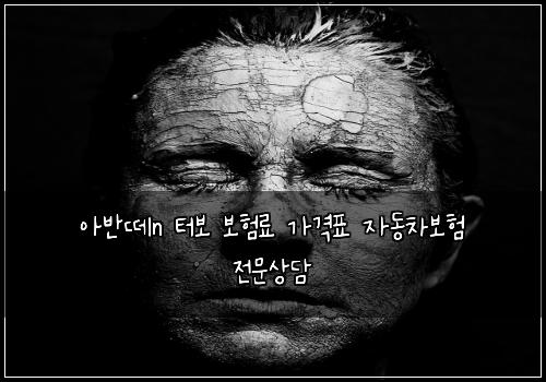 아반떼n 터보 보험료 가격표 자동차보험 전문상담