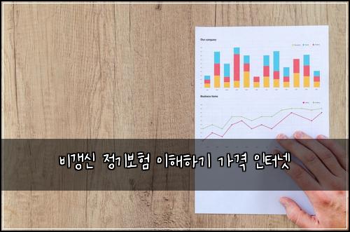 비갱신 정기보험 이해하기  가격 인터넷