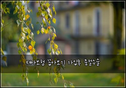 태아보험 꼽아보기  가입후 중절수술