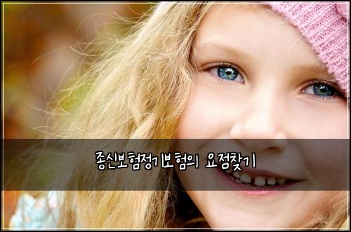 종신보험정기보험의 요점찾기