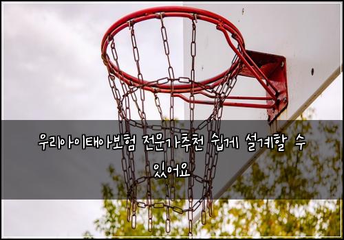 ์ฐ๋ฆฌ์์ดํ์๋ณดํ ์ ๋ฌธ๊ฐ์ถ์ฒ ์ฝ๊ฒ ์ค๊ณํ ์ ์์ด์